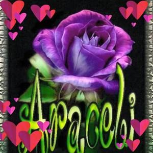 Meet your Posher, Araceli